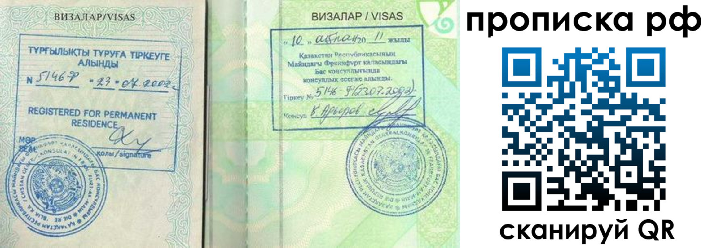 временная регистрация поиск в Кингисеппе